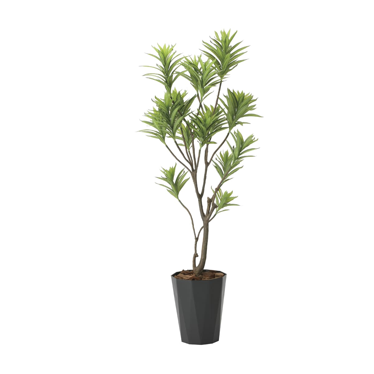 法人様限定 人工観葉植物 フレッシュドラセナ1.8 2016R400 アートクリエイション