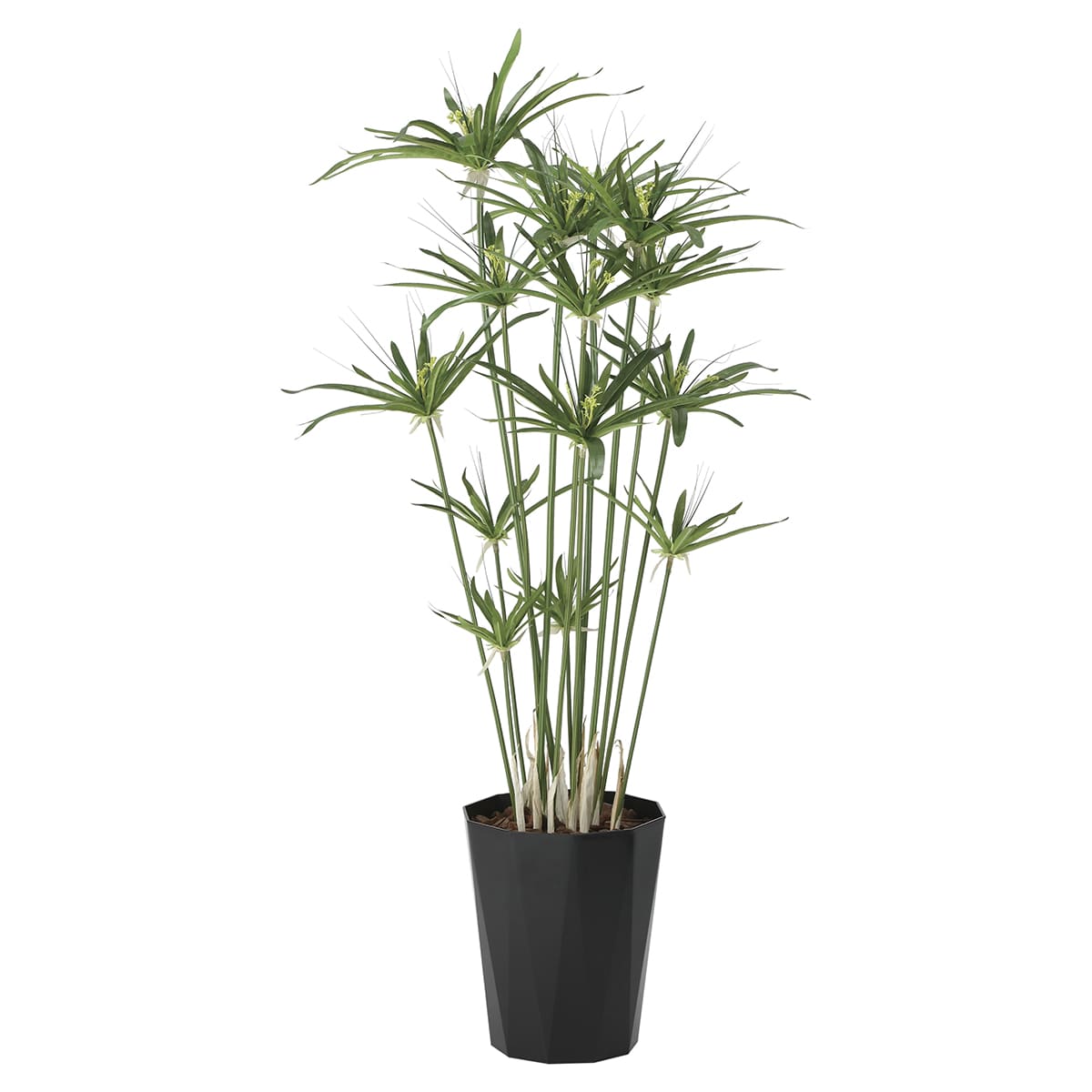 乐天商城 - 法人様限定 人工観葉植物 フェイクグリーン パピルス1.25 2297A200 アートクリエイション