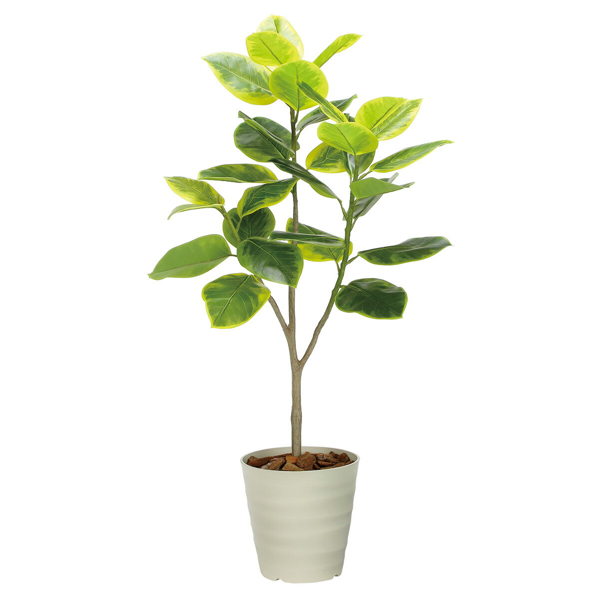 乐天商城 - 法人様限定 人工観葉植物 フェイクグリーン フレッシュアルテシマ1.65 2333A350 アートクリエイション