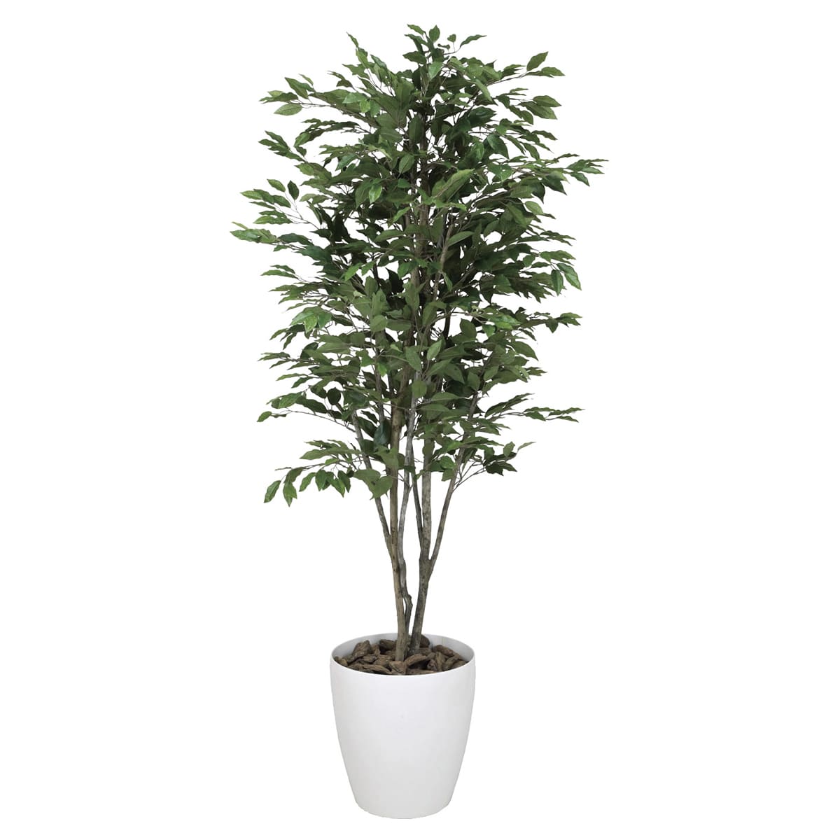 樂天商城 - 法人様限定 人工観葉植物 フェイクグリーン ベンジャミンツリー1.8 157R550 アートクリエイション
