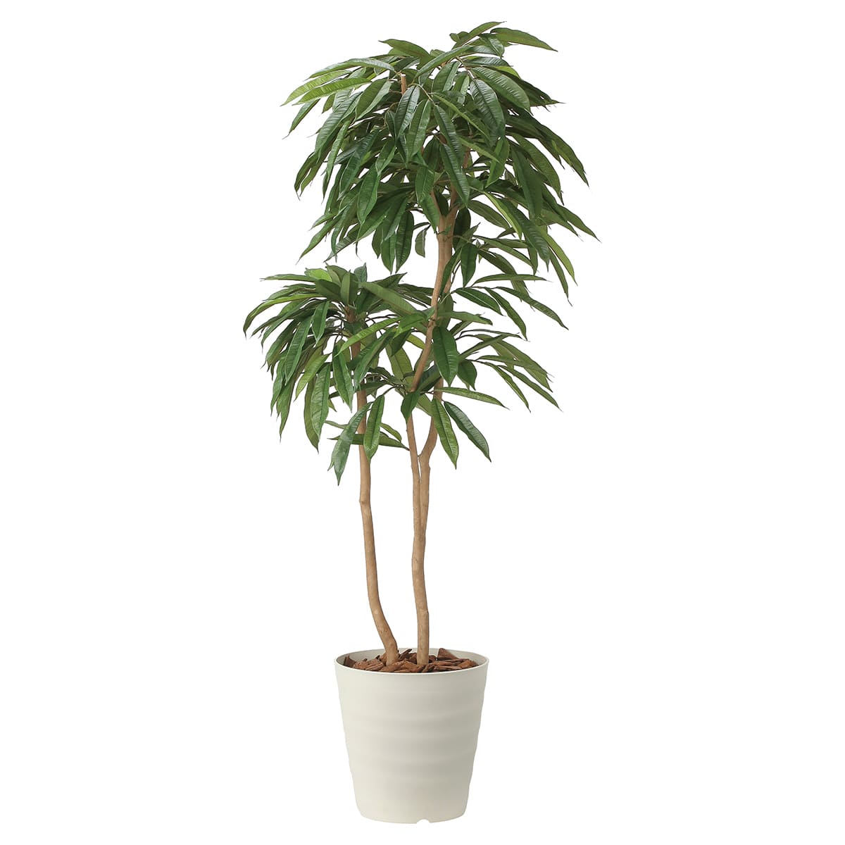 商品詳細（サイズ）■器：ポリプロピレン■機能：酸化チタン光触媒 V-CAT（消臭　抗菌　防汚　ホルムアルデヒド分解）　空気浄化（アセトアルデヒド）■サイズ：W750×D700×H1800■鉢サイズ：φ350（上面）×φ250（底面）×H340■補足：完成品／光触媒【注意事項】※オプションのご記入内容につきましては、詳しくはお問い合わせください。北海道、沖縄、離島及び中継を伴う場合は、追加送料が必要ですので別途ご案内致します。「アムステルダムキング1.8 2440A500」のシリーズ商品法人様限定 人工観葉植物 フェイクグリーン アムステルダムキング1.6 2439A430 アートクリエイション41,140円法人様限定 人工観葉植物 フェイクグリーン アムステルダムキング1.3 2488R250 アートクリエイション25,168円