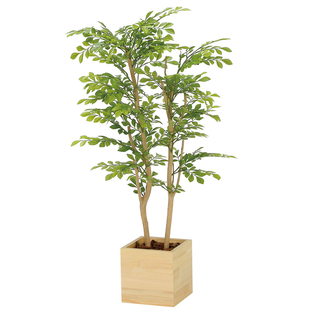 乐天商城 - 法人様限定 人工観葉植物 フェイクグリーン ウッドボックスライトトネリコ1.0 2306R280 アートクリエイション