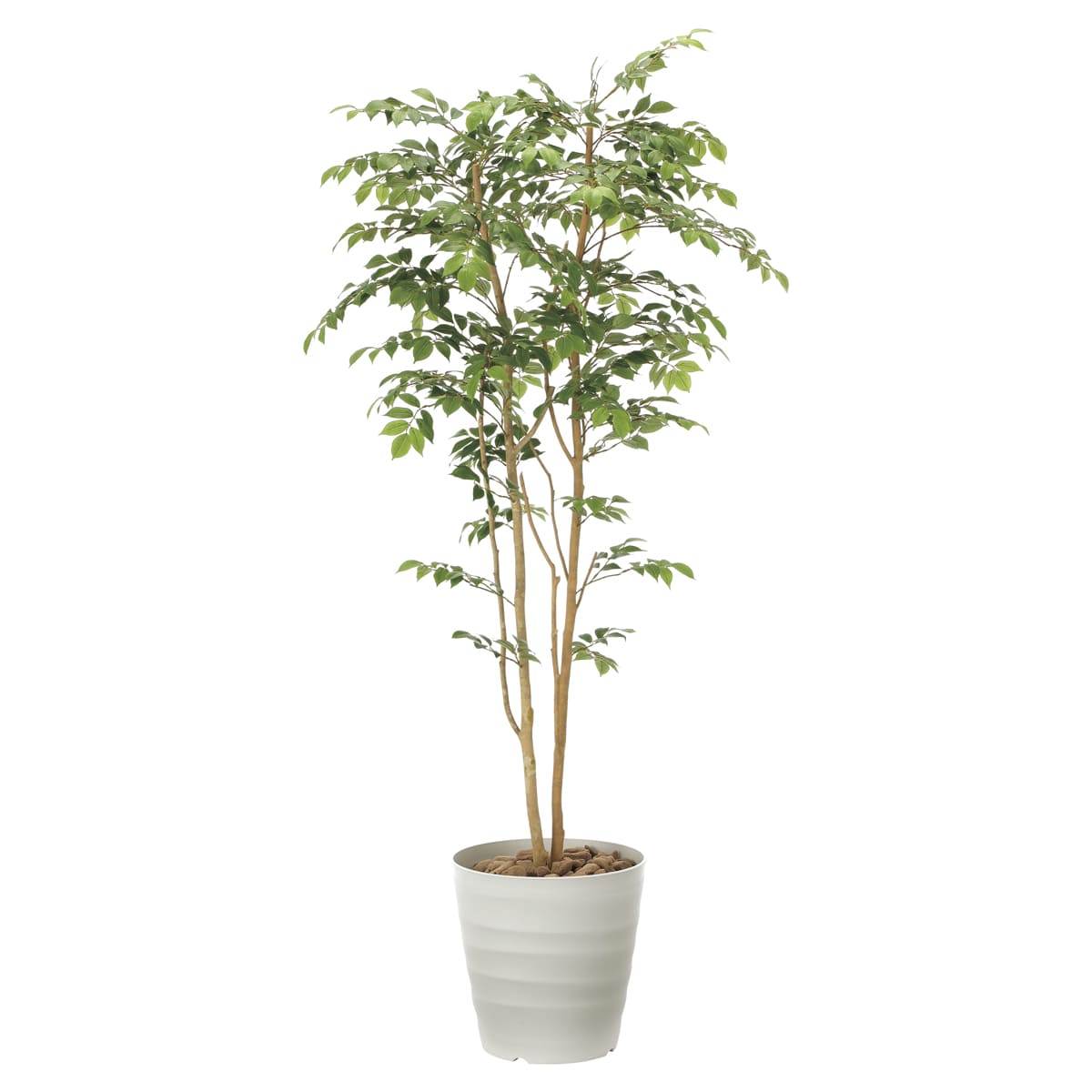 樂天商城 - 法人様限定 人工観葉植物 フェイクグリーン マウンテンアッシュ1.8 900R480 アートクリエイション