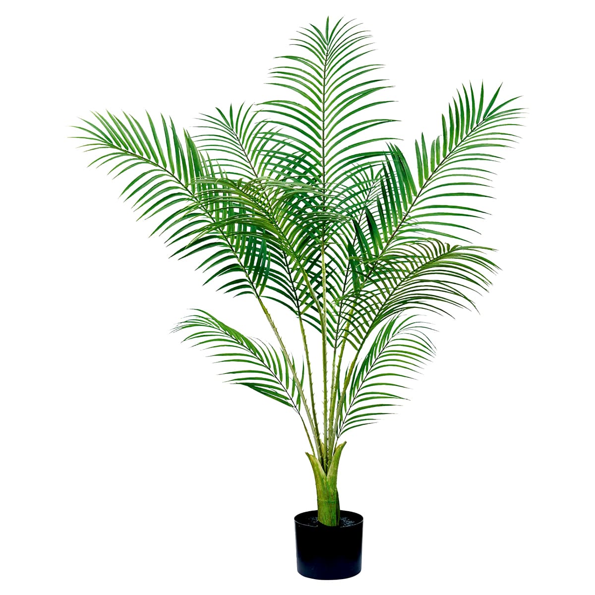 法人様限定 人工観葉植物 フェイクグリーン アレカパームポット 4F 東京堂