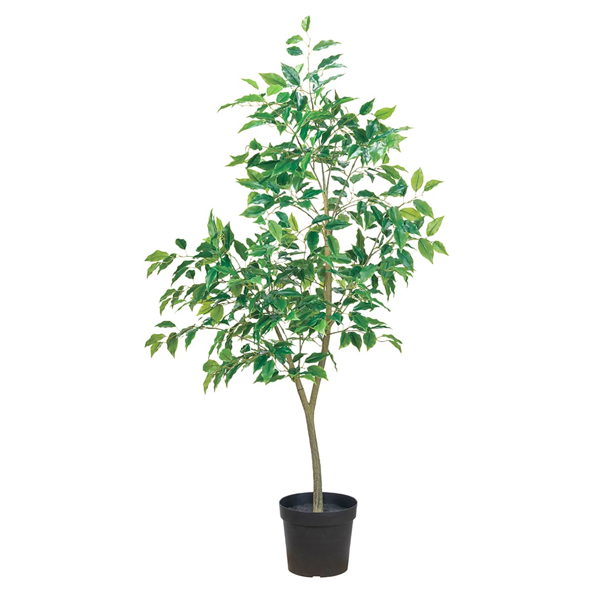 法人様限定 人工観葉植物 フェイクグリーン ファイカスポット 3WAY 東京堂