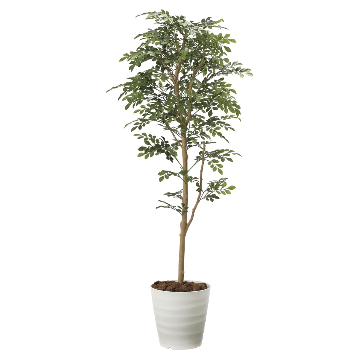 商品詳細（サイズ）■器：ポリプロピレン■機能：酸化チタン光触媒 V-CAT（消臭　抗菌　防汚　ホルムアルデヒド分解）　空気浄化（アセトアルデヒド）■サイズ：W650×D600×H1600■鉢サイズ：φ300（上面）×φ210（底面）×H295■補足：完成品／光触媒【注意事項】※オプションのご記入内容につきましては、詳しくはお問い合わせください。北海道、沖縄、離島及び中継を伴う場合は、追加送料が必要ですので別途ご案内致します。「トネリコ1.6 2107P320」のシリーズ商品法人様限定 人工観葉植物 フェイクグリーン トネリコ1.8 2094P380 アートクリエイション37,873円法人様限定 人工観葉植物 フェイクグリーン トネリコ1.2 184P240 アートクリエイション24,200円