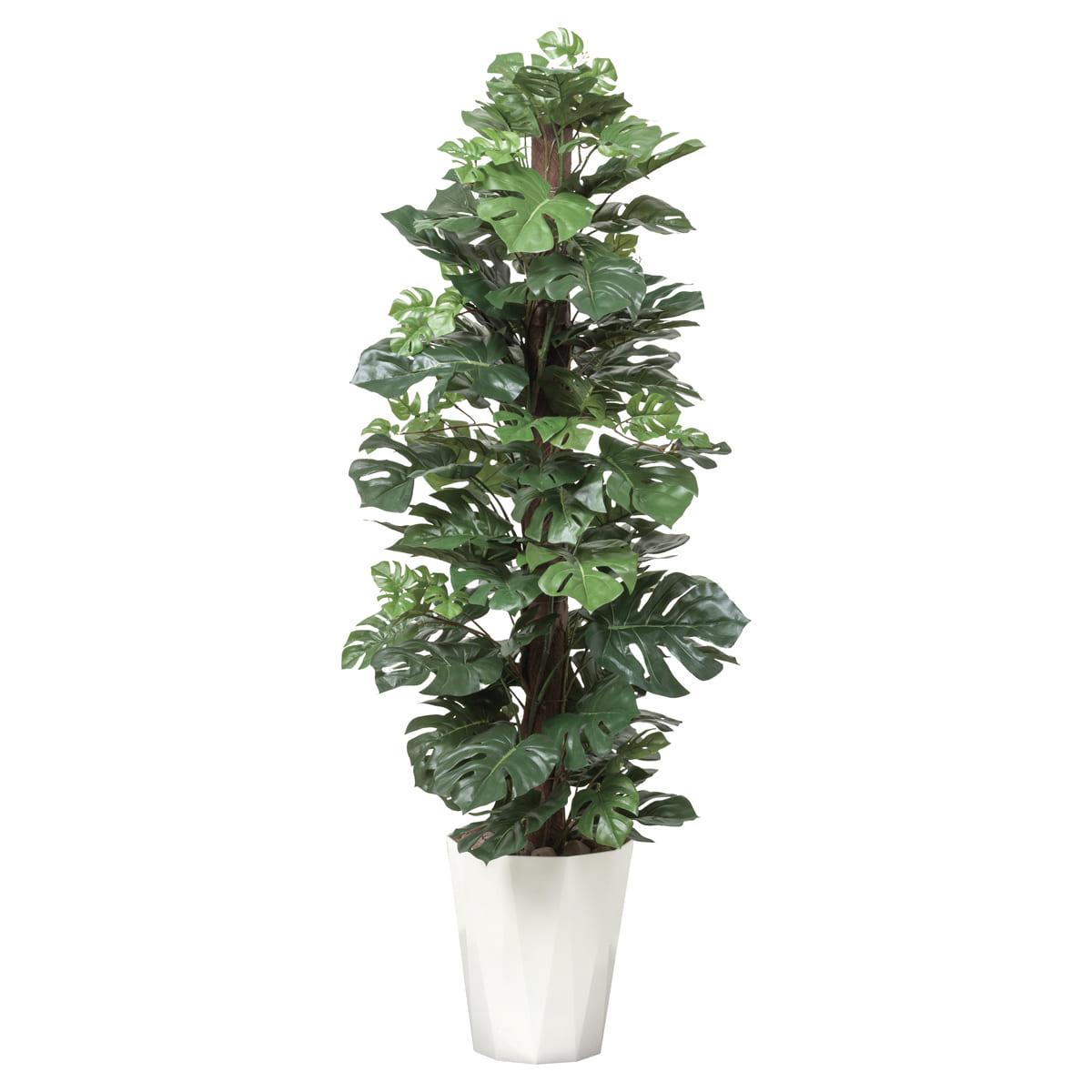 商品詳細（サイズ）■器：ポリプロピレン■機能：酸化チタン光触媒 V-CAT（消臭　抗菌　防汚　ホルムアルデヒド分解）　空気浄化（アセトアルデヒド）■サイズ：W550×D550×H1350■鉢サイズ：φ260（上面）×φ185（底面）×H30...