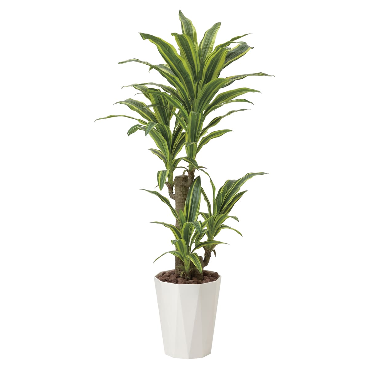 法人様限定 アートクリエイション オフィス家具 フェイクグリーン 人工観葉植物 フレッシュドラセナ1.25 428R300