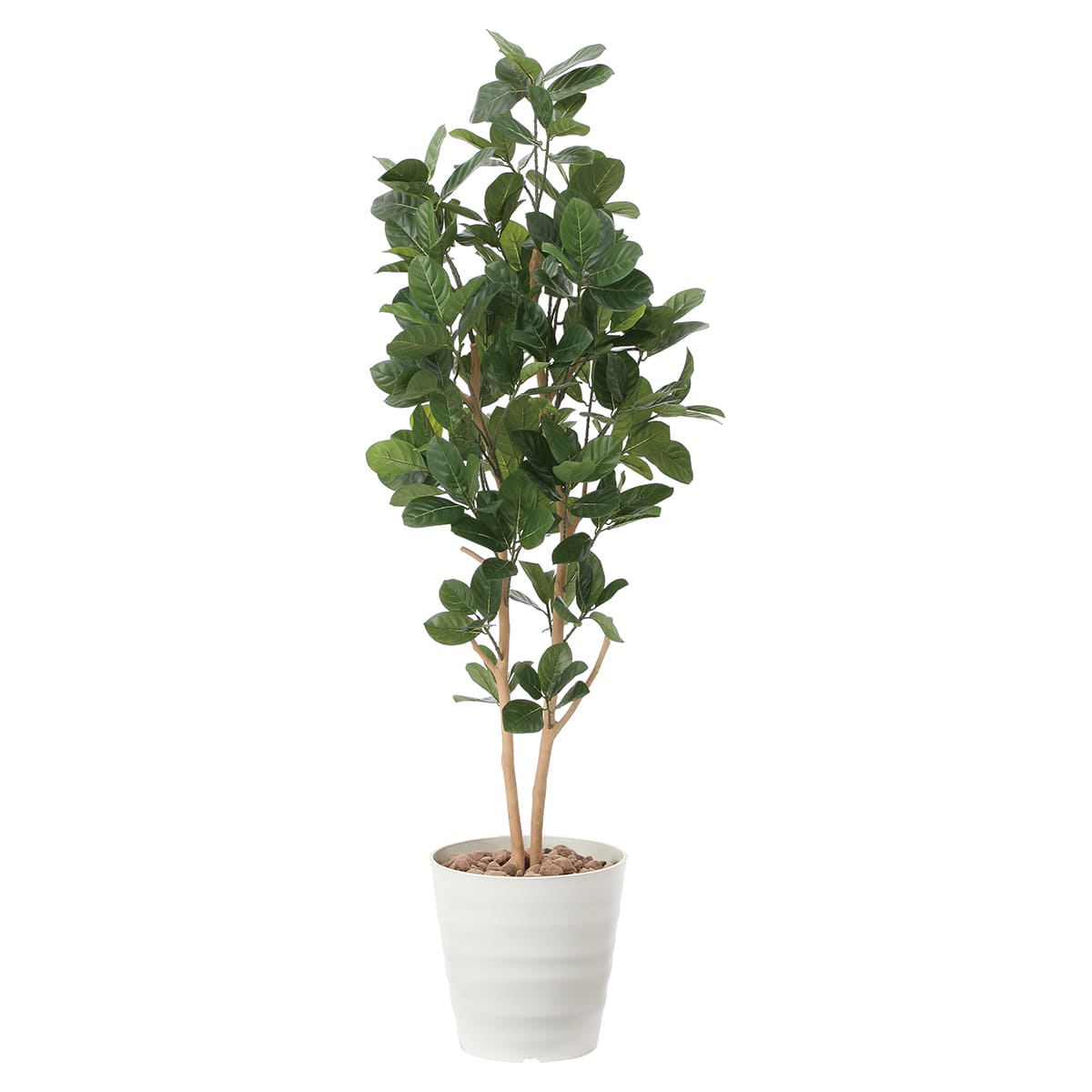 观叶植物 - 法人様限定 人工観葉植物 フェイクグリーン パンの木1.6 2391P400 アートクリエイション