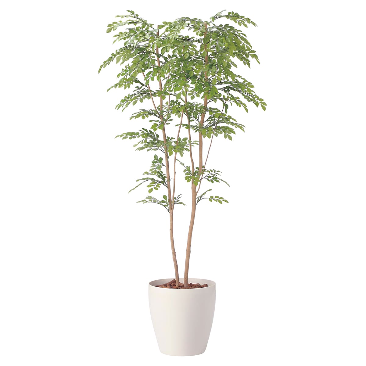 法人様限定 人工観葉植物 フェイクグリーン ライトトネリコ1.8 2413P470 アートク...