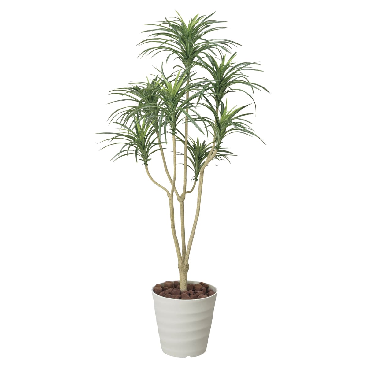 乐天商城 - 法人様限定 人工観葉植物 フェイクグリーン ユッカ1.6 173A250 アートクリエイション