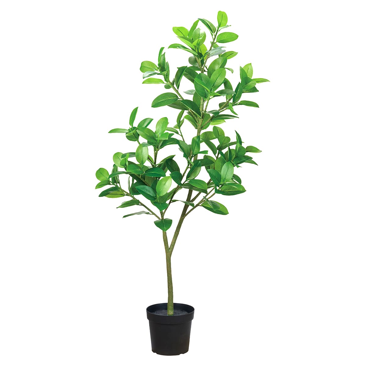 法人様限定 人工観葉植物 フェイクグリーン ゴムノキポット 3WAY 東京堂