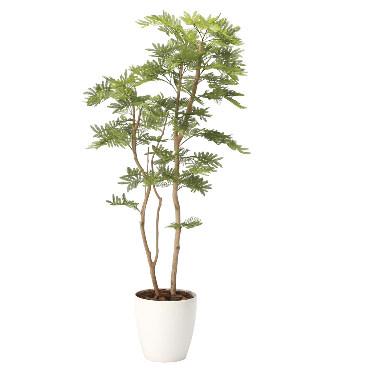 法人様限定 アートクリエイション オフィス家具 フェイクグリーン 人工観葉植物 ねむの木1.6（ポリ製）2105A360