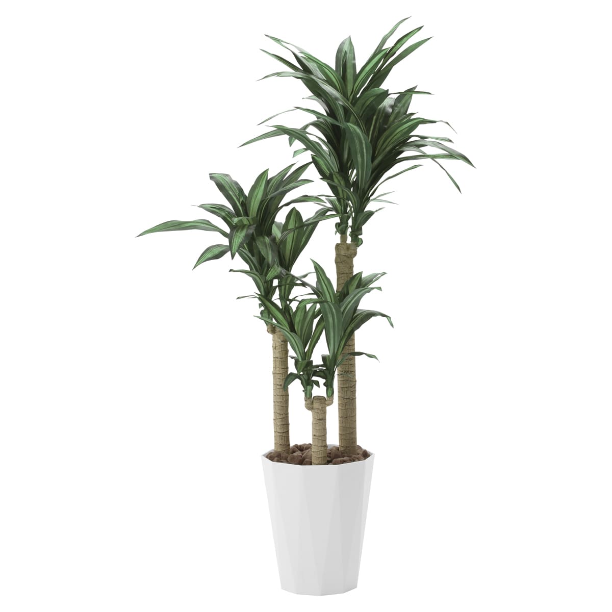 乐天商城 - 法人様限定 人工観葉植物 フェイクグリーン 幸福の木1.6 400R400 アートクリエイション