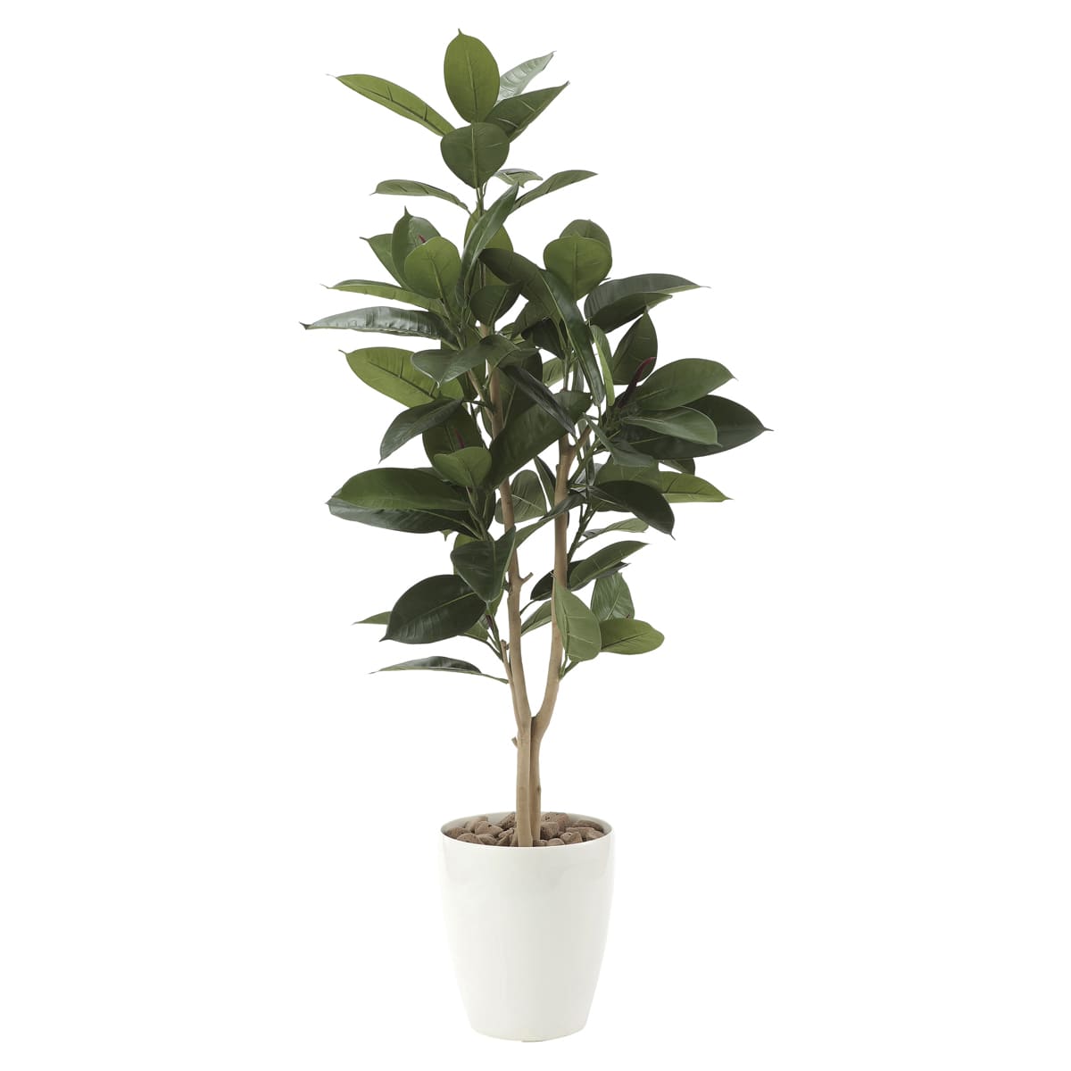 乐天商城 - 法人様限定 人工観葉植物 フェイクグリーン ゴムの木1.25 710P250 アートクリエイション