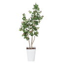 法人様限定 アートクリエイション オフィス家具 フェイクグリーン 人工観葉植物 ハックルベリー1.25 366C220