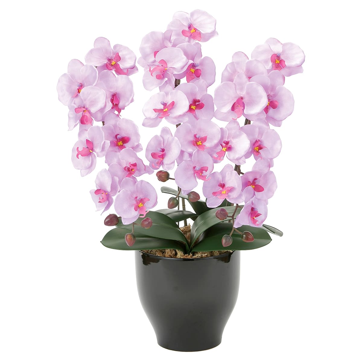 法人様限定アートクリエイションオフ...