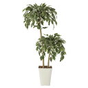 法人様限定 アートクリエイション オフィス家具 フェイクグリーン 人工観葉植物 ゴールデンフィカスダブル1.2 2282A200