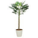 法人様限定 アートクリエイション オフィス家具 フェイクグリーン 人工観葉植物 セローム1.8 2312A300