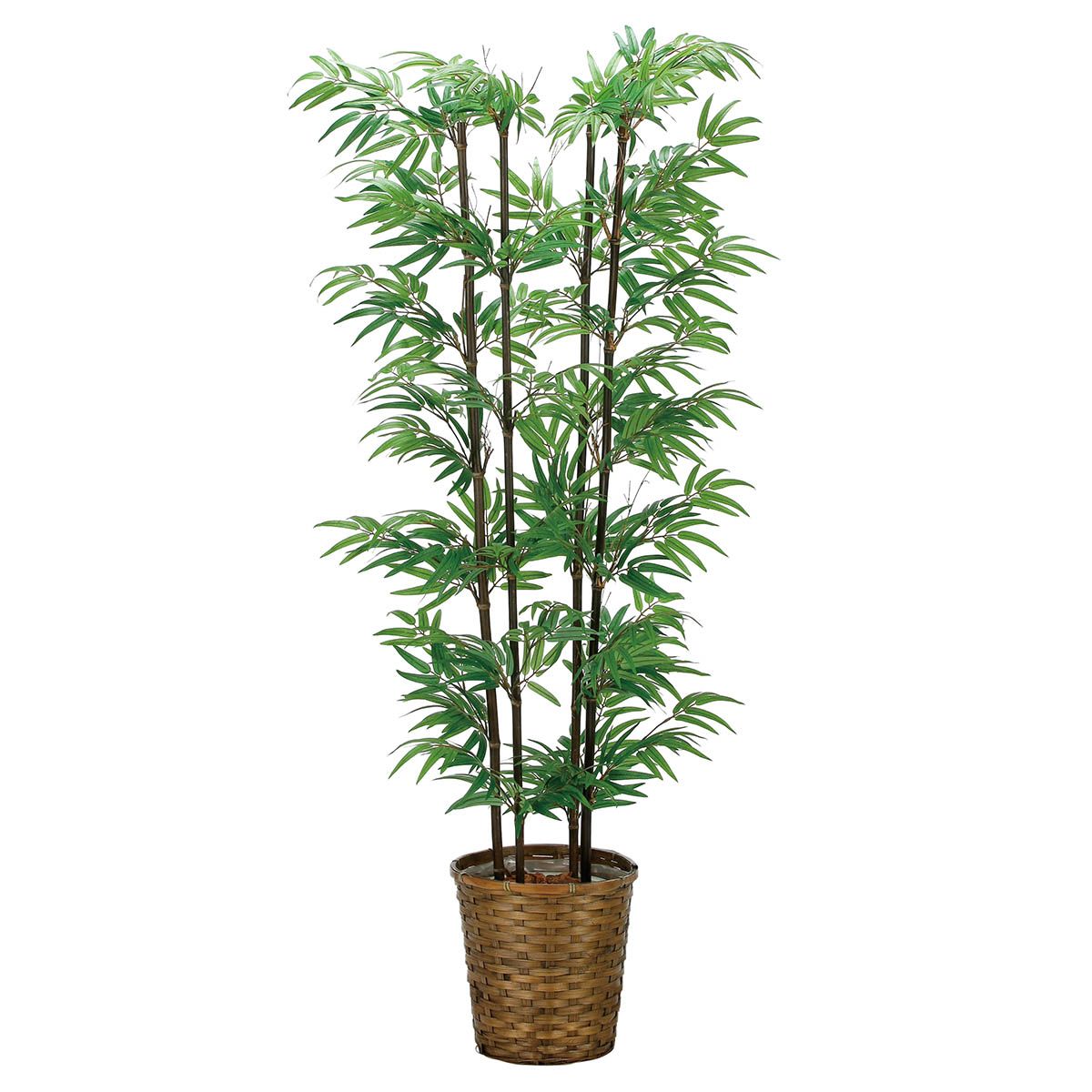 法人様限定 アートクリエイション オフィス家具 フェイクグリーン 人工観葉植物 黒竹1.6（幹:天然黒竹）2315A300