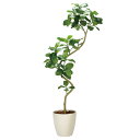 法人様限定 アートクリエイション オフィス家具 フェイクグリーン 人工観葉植物 ツイストアルテシマ2.1(組立式)2337A825