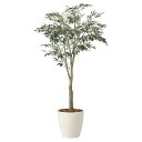 法人様限定 アートクリエイション オフィス家具 フェイクグリーン 人工観葉植物 オリーブツリー1.85(組立式)2437A450
