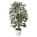 法人様限定 アートクリエイション オフィス家具 フェイクグリーン 人工観葉植物 ゴールデンフィカス1.0 202A150