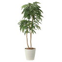 法人様限定 アートクリエイション オフィス家具 フェイクグリーン 人工観葉植物 アムステルダムキング1.8 2439A430