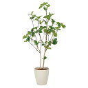 法人様限定 アートクリエイション オフィス家具 フェイクグリーン 人工観葉植物 サラサドウダン1.2 2323A210