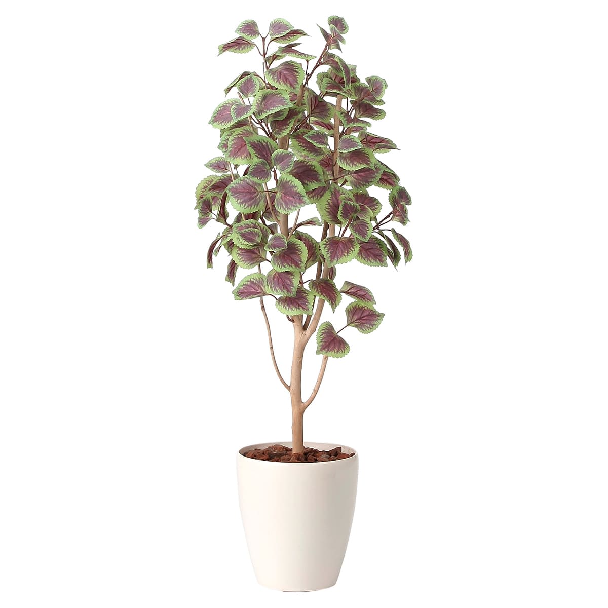 法人様限定 アートクリエイション オフィス家具 フェイクグリーン 人工観葉植物 コリウス1.1 2412A160