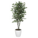 法人様限定 アートクリエイション オフィス家具 フェイクグリーン 人工観葉植物 ベンジャミンツリー1.6 156K430