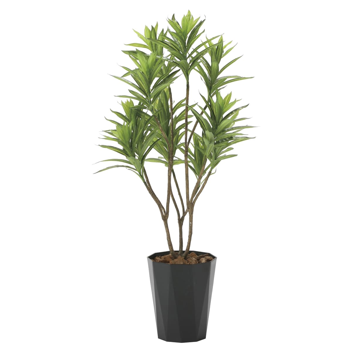 法人様限定 アートクリエイション オフィス家具 フェイクグリーン 人工観葉植物 フレッシュドラセナ1.2 2018K225