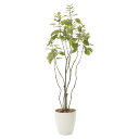 法人様限定 アートクリエイション オフィス家具 フェイクグリーン 人工観葉植物 フィカスブランチツリー1.3 723A180