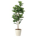 法人様限定 アートクリエイション オフィス家具 フェイクグリーン 人工観葉植物 カシワバゴム1.8 2466A430