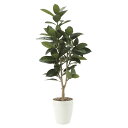 法人様限定 アートクリエイション オフィス家具 フェイクグリーン 人工観葉植物 ゴムの木1.25 710P250