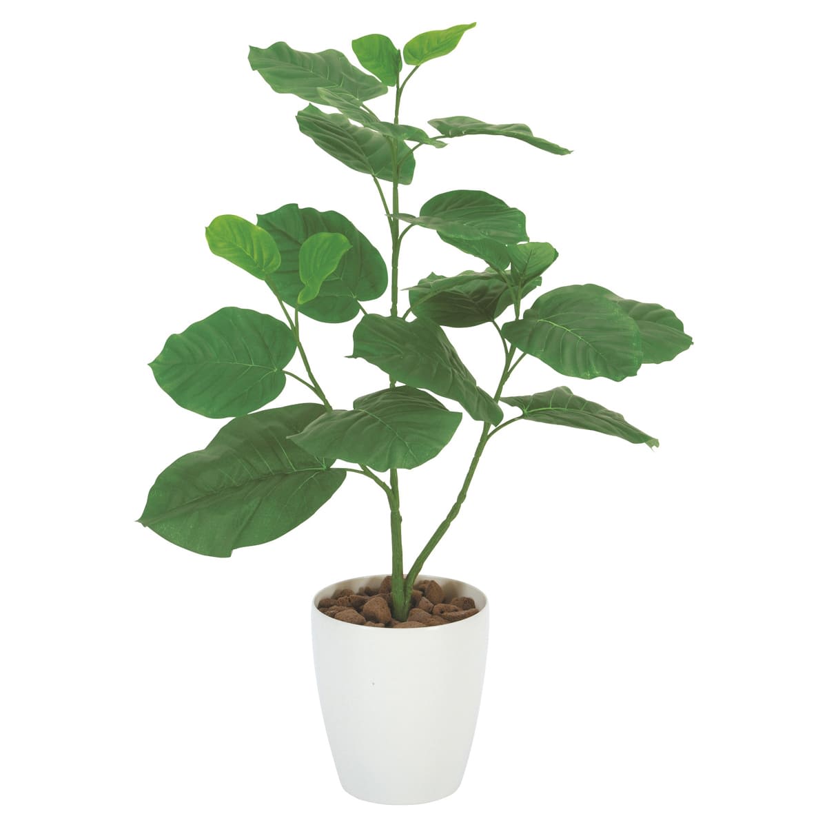 法人様限定 アートクリエイション オフィス家具 フェイクグリーン 人工観葉植物 ウンベラータ80 211A100