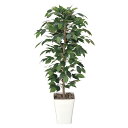 法人様限定 アートクリエイション オフィス家具 フェイクグリーン 人工観葉植物 フィカスベンジャミン1.2 189K180