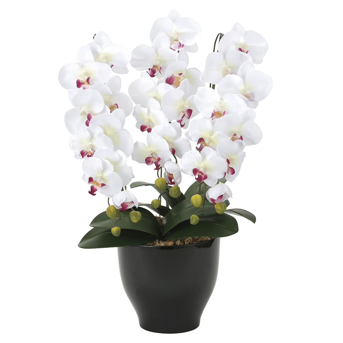 法人様限定 アートクリエイション オフィス家具 造花 アーティフィシャルフラワー 胡蝶蘭セリースW／AB 22K120