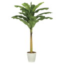 法人様限定 アートクリエイション オフィス家具 フェイクグリーン 人工観葉植物 バナナ2.1(組立式)2209A350