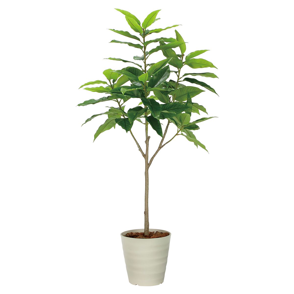 法人様限定 アートクリエイション オフィス家具 フェイクグリーン 人工観葉植物 フレッシュユラニア1.6 2325A400