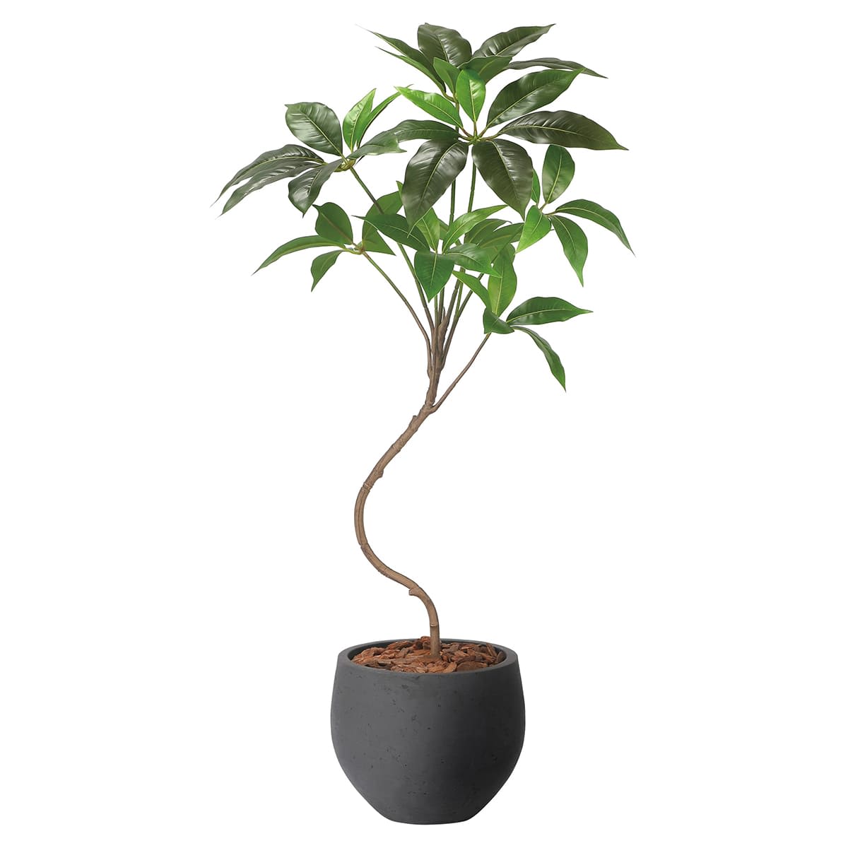 商品詳細（サイズ）■器：ガラス繊維強化セメント■機能：酸化チタン光触媒 V-CAT（消臭、抗菌、防汚、ホルムアルデヒド分解）、空気浄化（アセトアルデヒド）■サイズ：W500×D500×H1000■鉢サイズ：Φ250×H210■補足：完成品／...