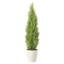 法人様限定 アートクリエイション オフィス家具 フェイクグリーン 人工観葉植物 ゴールドクレスト1.35(ポリ製)2467A400
