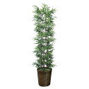 法人様限定 アートクリエイション オフィス家具 フェイクグリーン 人工観葉植物 黒竹1.8(幹:天然黒竹)775A450