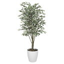 法人様限定 アートクリエイション オフィス家具 フェイクグリーン 人工観葉植物 ベンジャミンツリー斑入り1.6 153K430