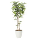 法人様限定 アートクリエイション オフィス家具 フェイクグリーン 人工観葉植物 ケヤキ1.8 807P470