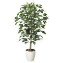 法人様限定 アートクリエイション オフィス家具 フェイクグリーン 人工観葉植物 ベンジャミン1.0 200A150