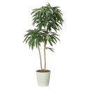 法人様限定 アートクリエイション オフィス家具 フェイクグリーン 人工観葉植物 アムステルダムキング1.6 2439A430