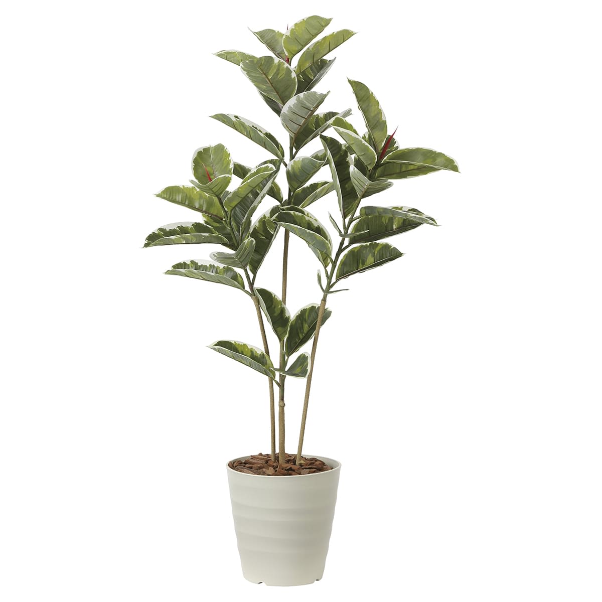 法人様限定 アートクリエイション オフィス家具 フェイクグリーン 人工観葉植物 アルテシマ1.2 2221P200