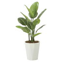 法人様限定 アートクリエイション オフィス家具 フェイクグリーン 人工観葉植物 フレッシュスキンダプサス1.0 2240A160