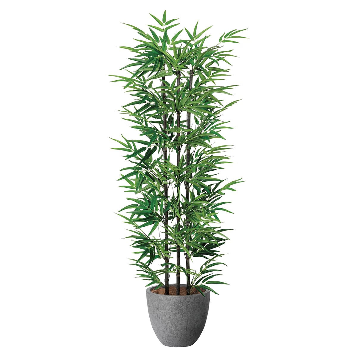 法人様限定 アートクリエイション オフィス家具 フェイクグリーン 人工観葉植物 ナチュラル黒竹1.6 2504A420